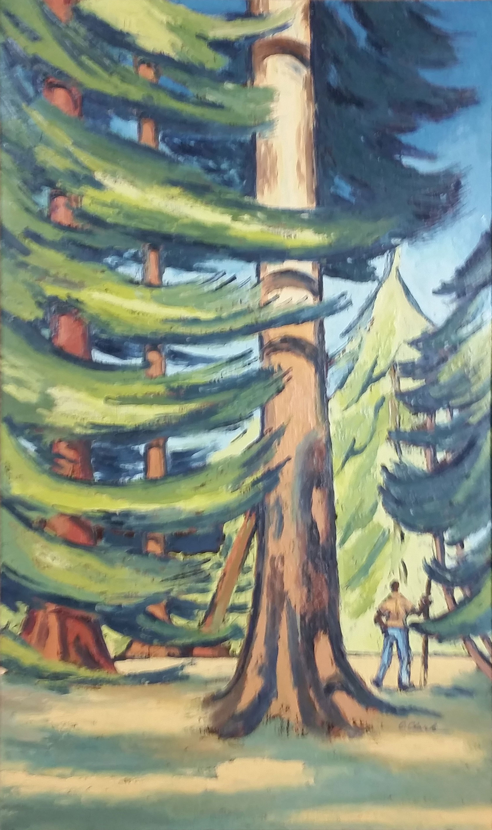 Man with Redwoods
